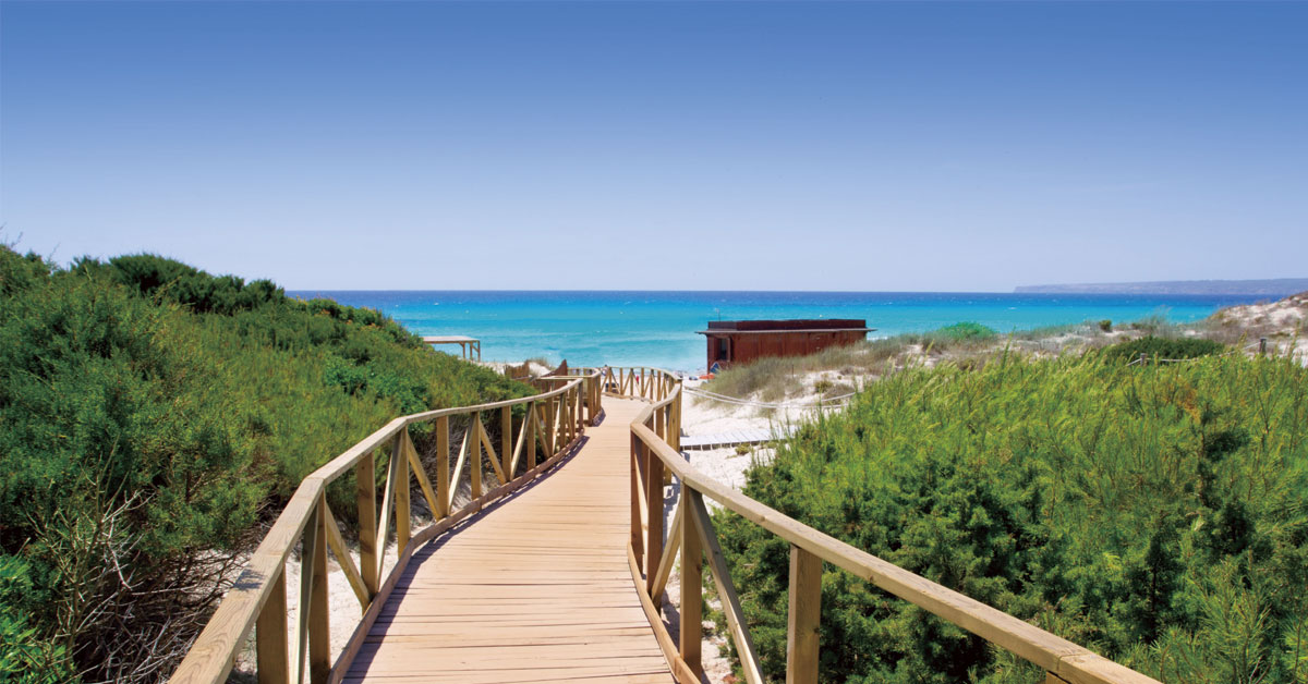 pasarela hacia playa arenal formentera