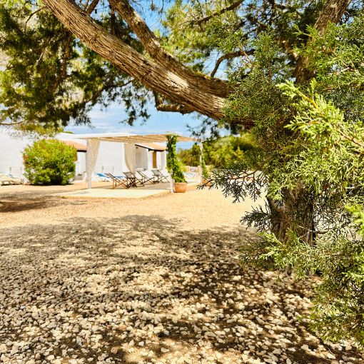 Can Chumbera terrace